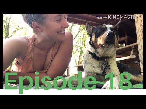 Kelsie’s Appalachian Trail Episode 18