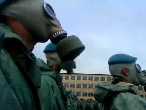 Śpiewające słoniki