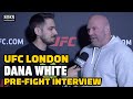 Dana White Talks Francis Ngannou and Greg Hardy, Previews UFC London - MMA Fighting