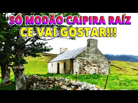 MODÃO RAIZ SERTANEJA 🍻 SÓ AS MELHORES DO SERTANEJO ANTIGO