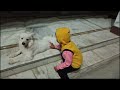 Aradhya Playing With Dog Cute Baby And Dog My Pride India