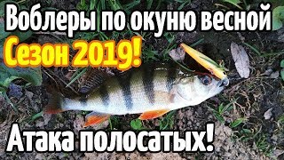 Воблеры на окуня топ 10