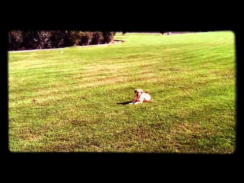 Oscar with the Arab kids.