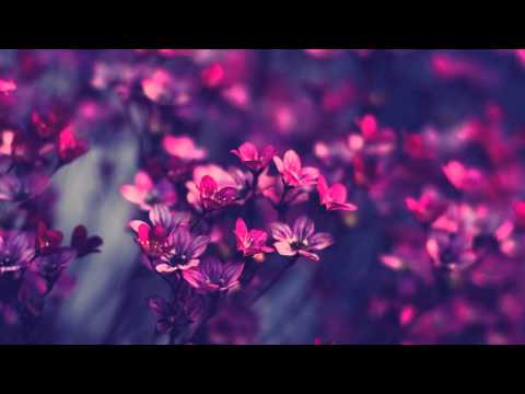 [Melodic Dubstep] Andreas Byrsting - Truth of Life  [Underrated Artist]
