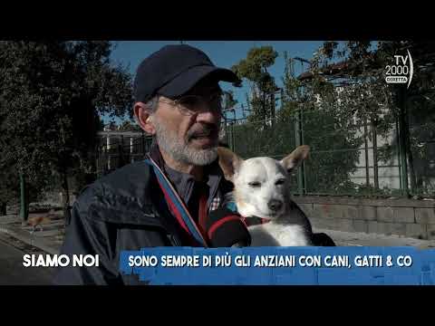 Siamo Noi, 23 novembre 2022 - Animali in casa: migliorano davvero la vita?