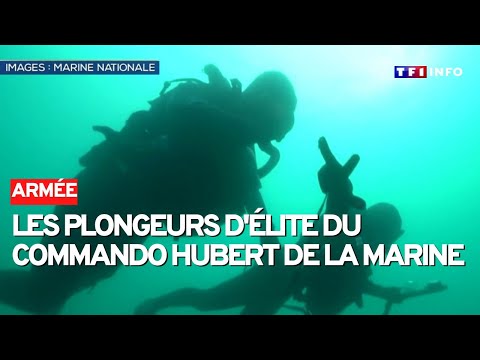 Aux côtés des plongeurs d'élite du mythique commando Hubert de la Marine