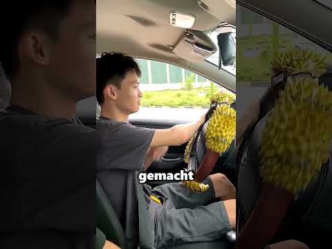 Die einzigartigste Fahrprüfung aller Zeiten 😱