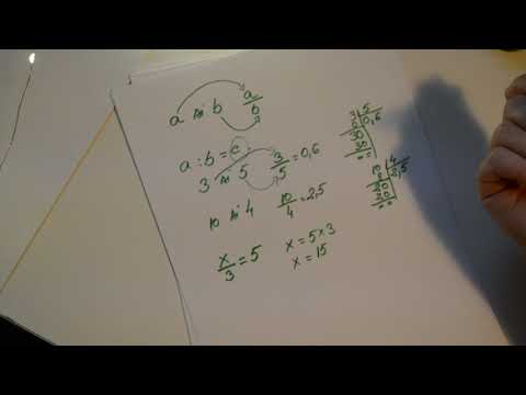 Rapoarte clasa a VI-a