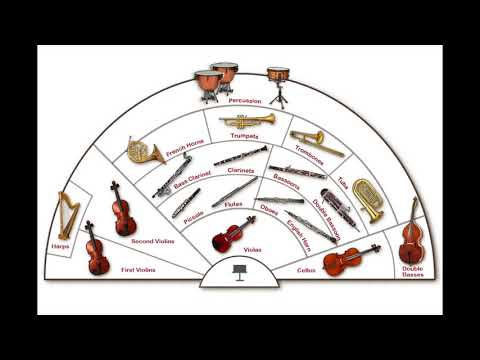 Century Strings Walkthrough