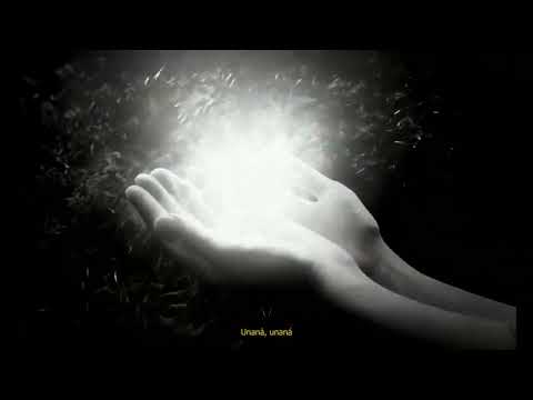 Israel B, La Pardo, LOWLIGHT - Unaná (Visualizer)