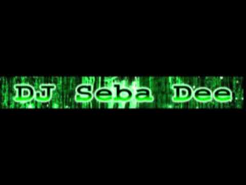 Dj Seba Dee & AI - Marica mix  ( Remix 2026 Brendi cover)