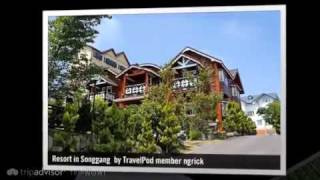preview picture of video 'Cingjing Farm & Small Swiss Garden Ngrick's photos around Nantou, Taiwan (cingjing farm hotel)'