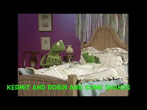 Muppet Songs: Kermit & Robin the Frogs - In a Persian Market