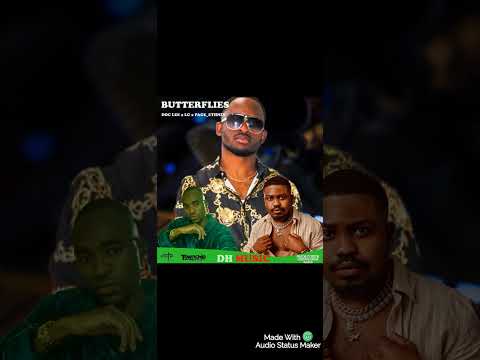 Doc Lee x LG & Page Ethnix.  Butterflies                          #namibianmusic #music #afrobeat