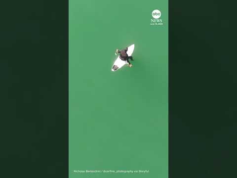 Drone video shows shark stalking surfer off California