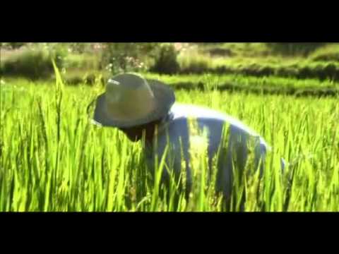 Facto Saatchi&Saatchi - ORANGE - SPOT TV SIFFLEMENT