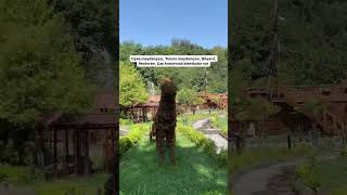 Download lagu Lerik Cənub istirahət mərkəzi #lerikturizm #lerik #travel #baku #nature #lerikdənxatirələr #kotec mp3
