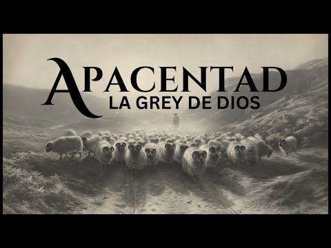 Apacentad la Grey de Dios