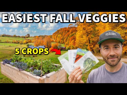 5 Easy Veggies To Plant In Fall And FORGET All Winter!