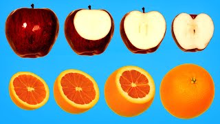 Hidden Patterns Inside Fruits and Vegetables
