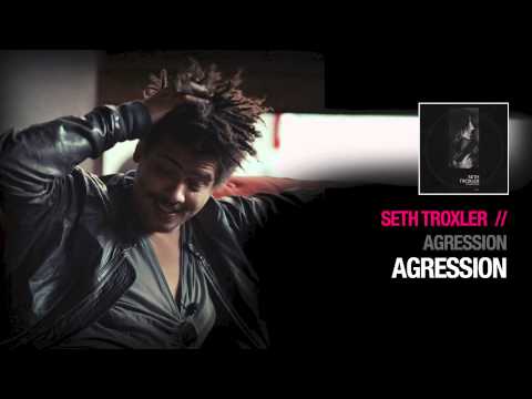 Seth Troxler -  Agression ( Moodgadget Records )