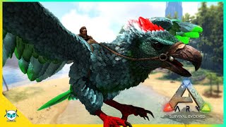 《方舟生存进化》Ark Survival Evolved EP 5 : 驯服 巨鹰，甲龙，星尾兽，为大迁徙做准备