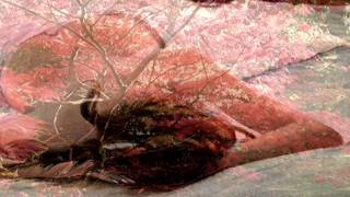 SI YO FUERA EL     DYANGO  SI YO FUERA EL (1976)