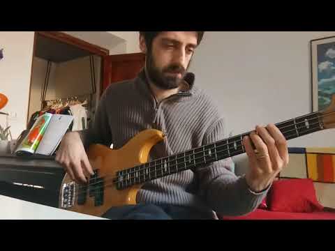 Ci Stiamo Sbagliando, Luca Carboni - bass cover