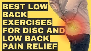 BEST Low Back Exercises for DISC and Low Back Pain RELIEF Dr. Matthew Posa Milton Ontario