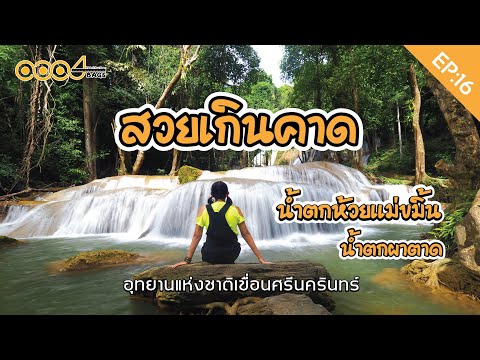 อุทยานแห่งชาติเขื่อนศรีนครินทร์
