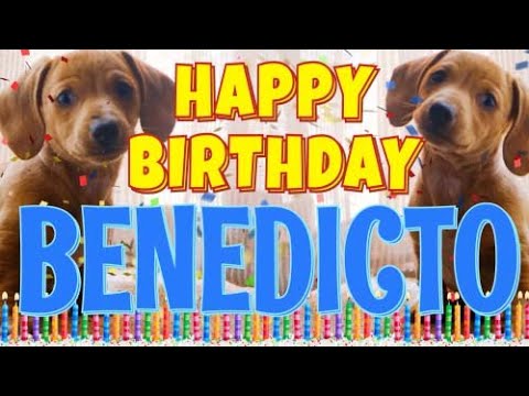Happy Birthday Benedicto! ( Funny Talking Dogs ) What Is Free On My Birthday