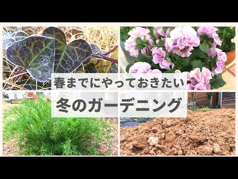 庭を寒さから守る方法 ポリエチレンの毛布カバーを外し、土を守る