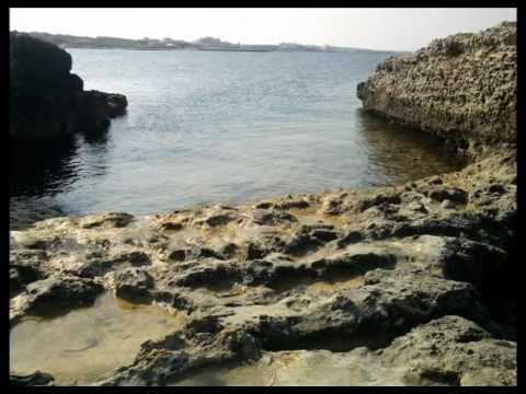 JEAN PIERRE POSIT  J'aime