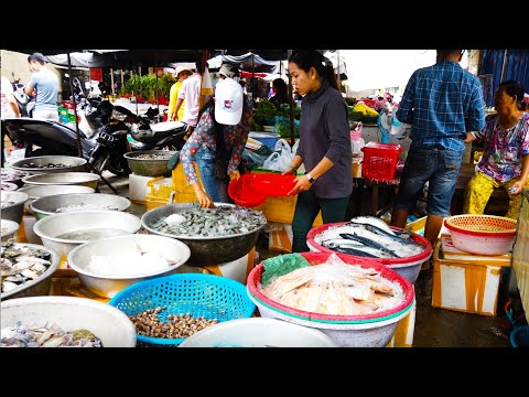 A Walk Around Phnom Penh Market Food - Fact Foods For Sales
