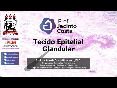 2-Tecido Epitelial Glandular - versão 2021 - Graduação.