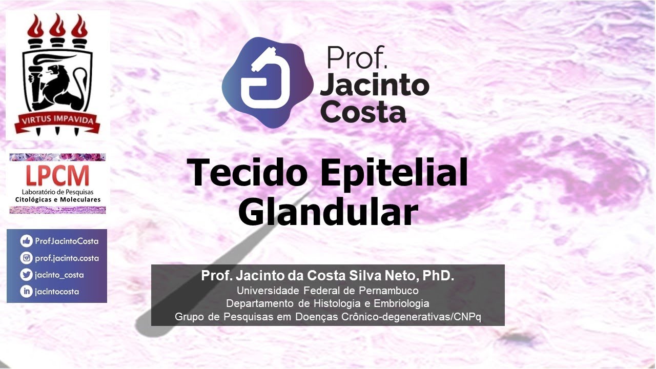 2-Tecido Epitelial Glandular - versão 2021 - Graduação.
