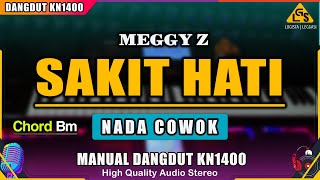 Download lagu SAKIT HATI  - MEGGI Z KARAOKE DANGDUT ORIGINAL KN1400 (NADA PRIA) mp3