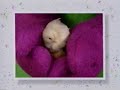 Barney S Original 1998 VHS 1998 Version Part 67