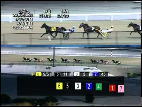 Woodbine, Sbred, January 28, Race 11