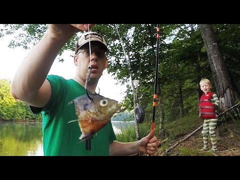 How to catch catfish from the bank - Bank fishing for catfish