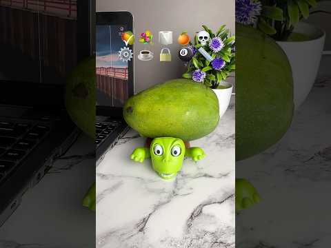 What do you want me to put on top of the turtle next? 🤭✨🐢 #turtle #coaster #turtlecoaster