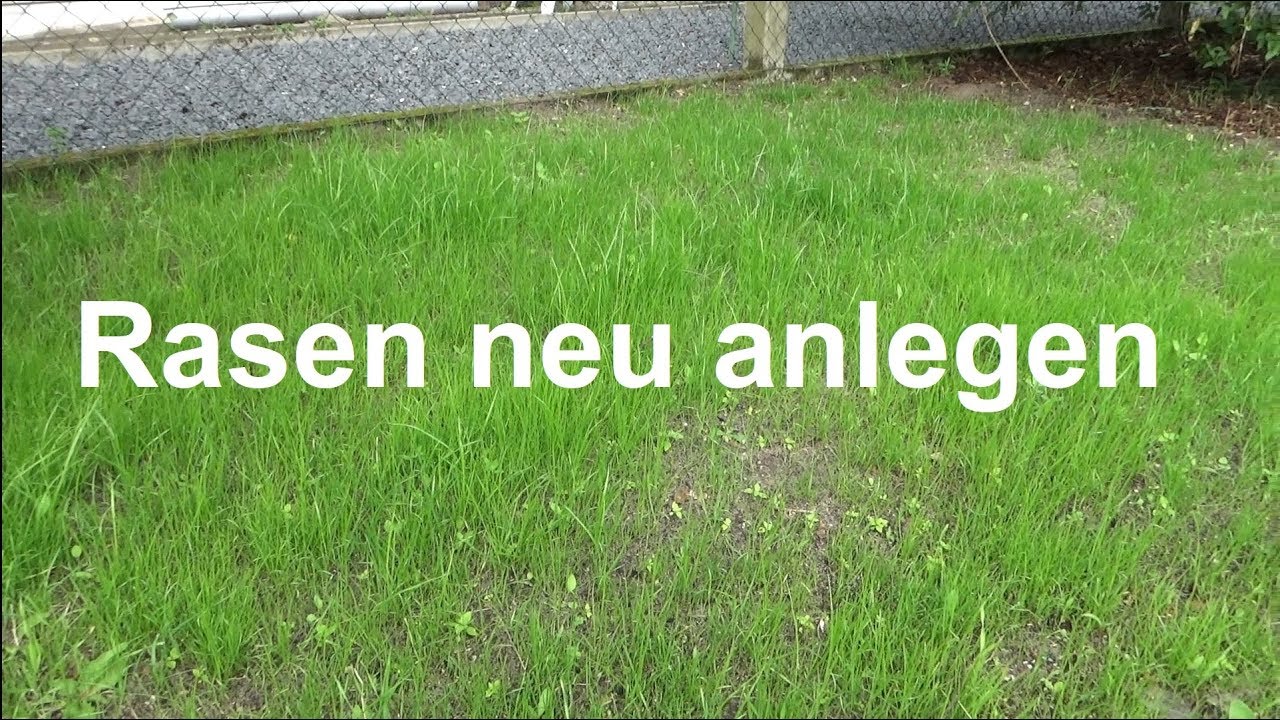 Rasenpflege im Frühjahr  Herbst  Sommer & Winter