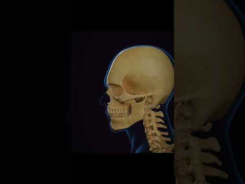 Phillip Hughes real example..(helmet must be upgraded)#gaming #viral #cricket #shorts