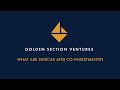 Golden Section Ventures - What Are Sidecar and Co investments?