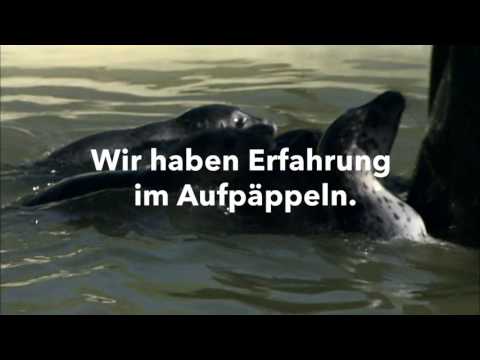 Groß werden im echten Norden