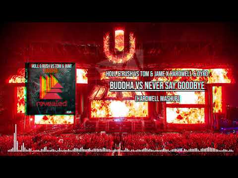 Holl & Rush vs Tom & Jame x Hardwell & Dyro - Buddha vs Never Say Goodbye (Hardwell Mashup)