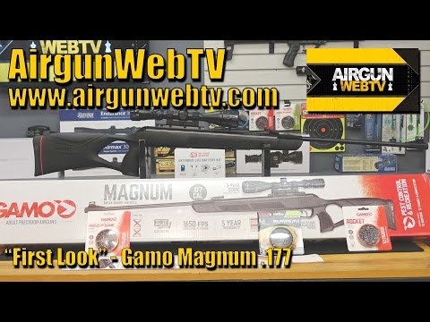 AirgunWebTV First Look - Gamo Magnum .177 - A beast right out of the box!