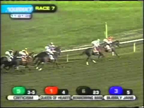 2009 Long Island Handicap   CRITICISM