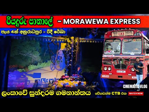 230km in 4 hours 😱 FASTEST CTB BUS Ride SRILANKA 🚀 MORAWEWA BUS VLOG 🌿