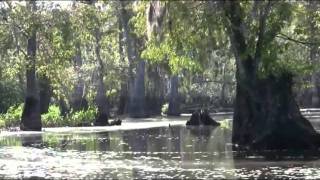 Run Through The Jungle (HD)